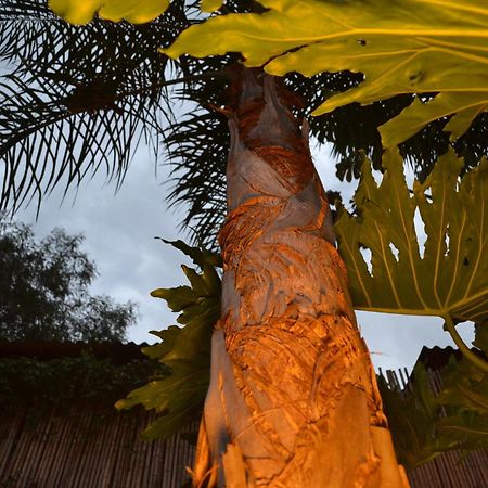 Passaros Suite Hotel Puerto Iguazú Dış mekan fotoğraf
