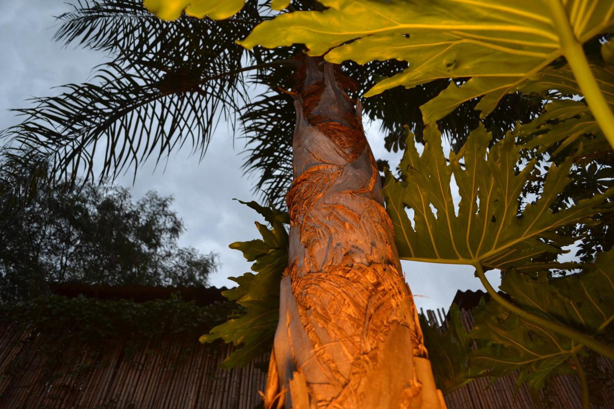 Passaros Suite Hotel Puerto Iguazú Dış mekan fotoğraf